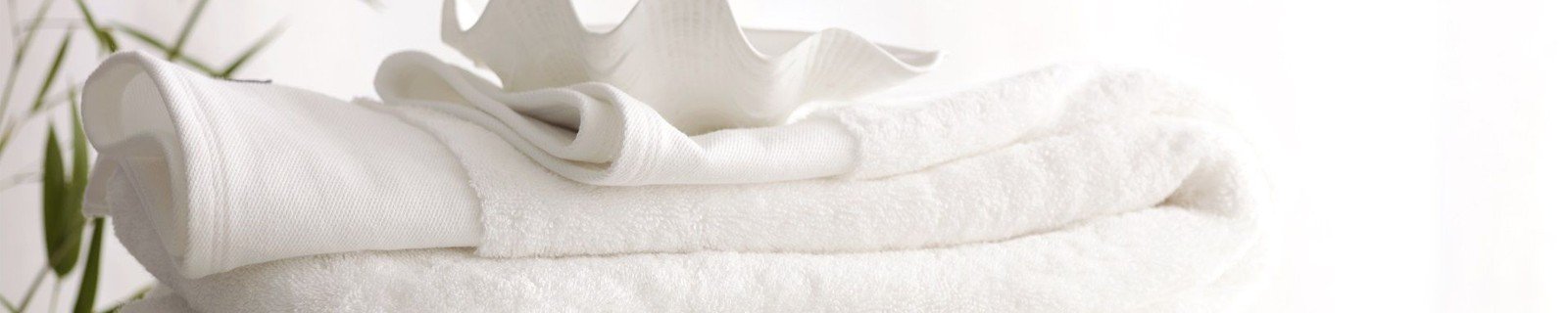 banner-header